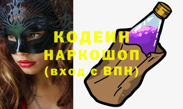 индика Верея